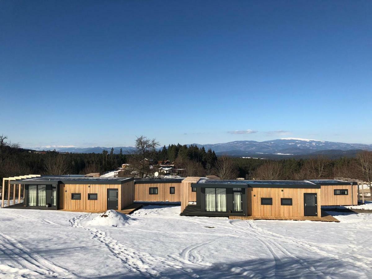 فندق Chaletpark Petzen Feistritz ob Bleiburg المظهر الخارجي الصورة