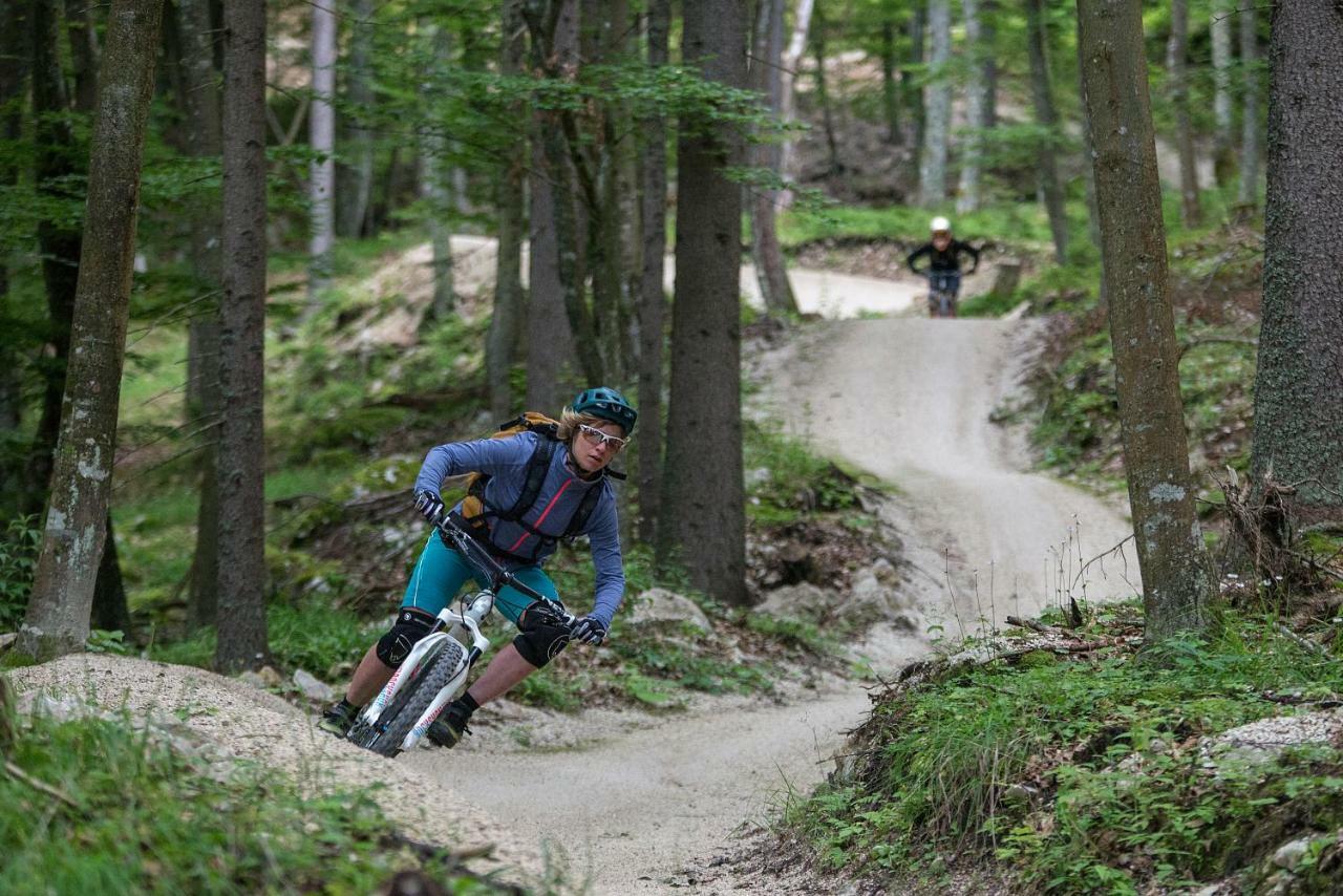 فندق Chaletpark Petzen Feistritz ob Bleiburg المظهر الخارجي الصورة