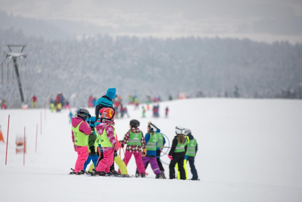 فندق Chaletpark Petzen Feistritz ob Bleiburg المظهر الخارجي الصورة