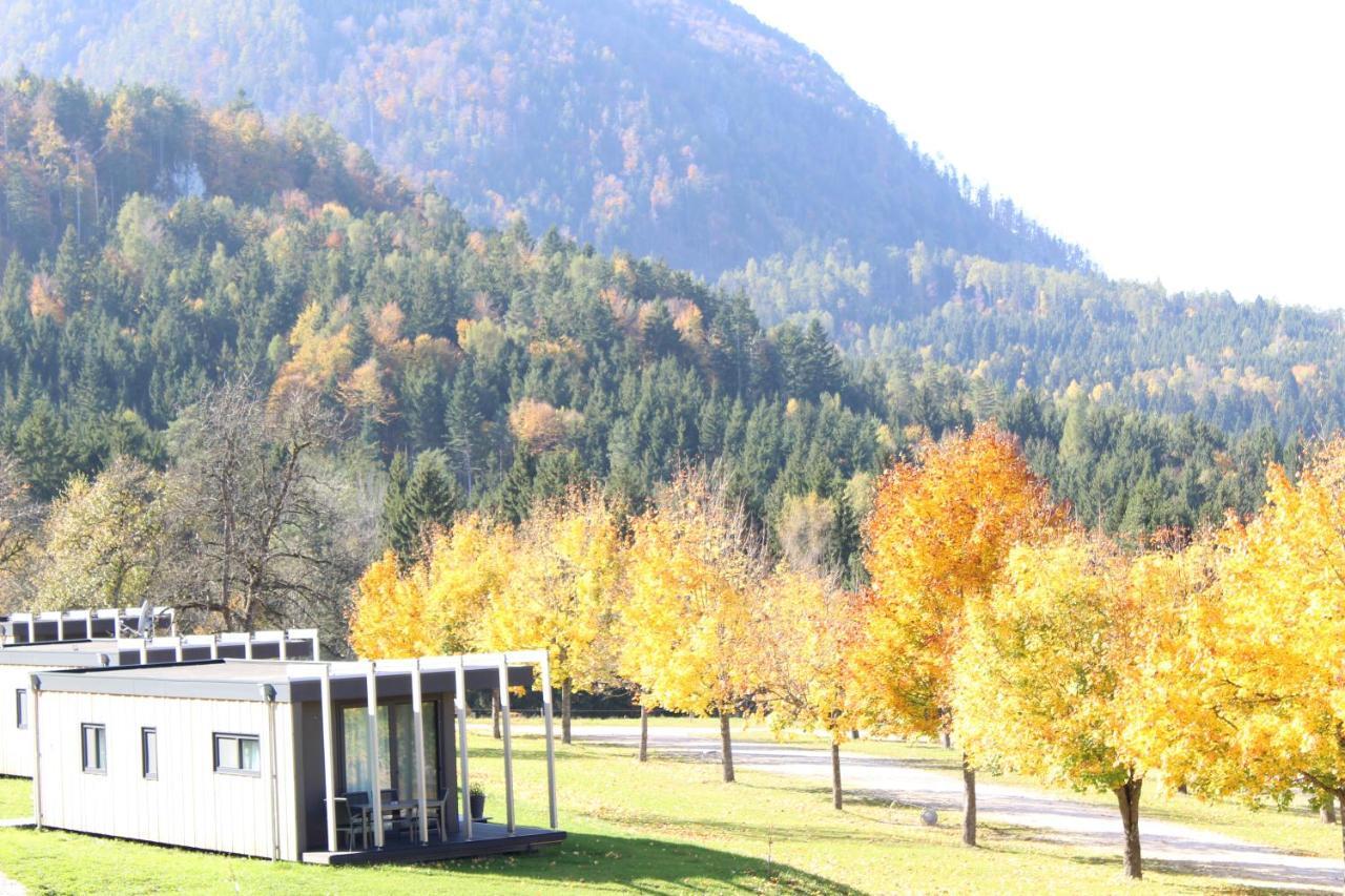 فندق Chaletpark Petzen Feistritz ob Bleiburg المظهر الخارجي الصورة