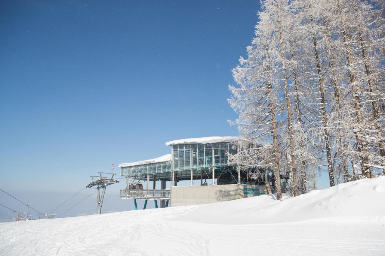 فندق Chaletpark Petzen Feistritz ob Bleiburg المظهر الخارجي الصورة